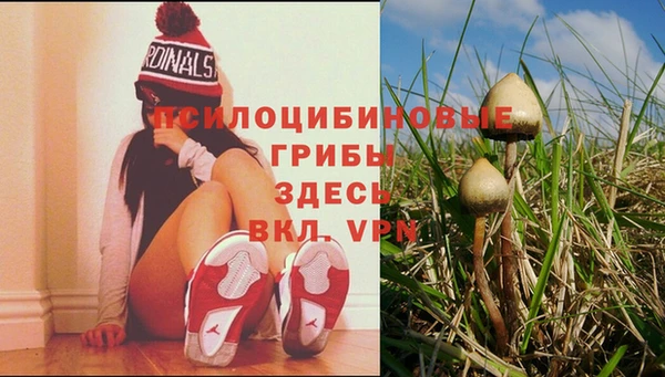 скорость mdpv Белокуриха