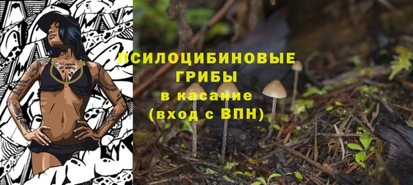 spice Беломорск