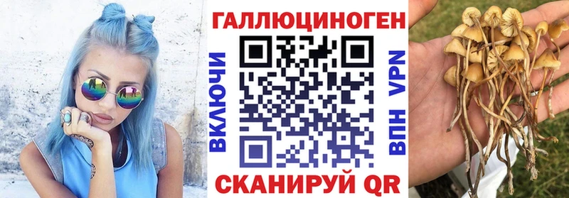 кракен сайт  Верхоянск  Галлюциногенные грибы прущие грибы 